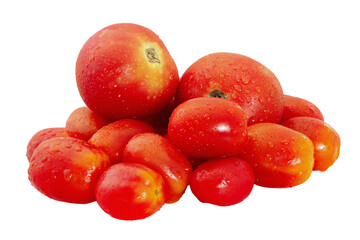 Fresh Tomatoes with Water Droplets Displayed