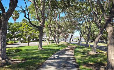 A Urban Walkway Surrounded By Trees