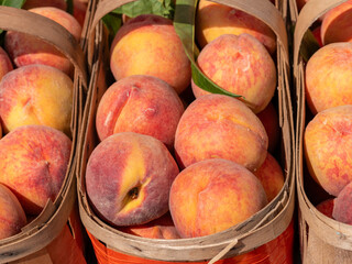 peaches in a basket
