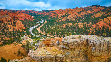Aerial Red Canyon Scenic Road and Lone Tree in Utah Mountain Landscape