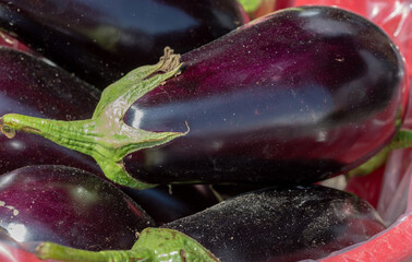 eggplants at market