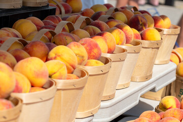 peaches in baskets at market