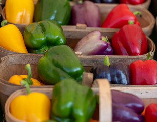 fresh peppers vegetables on the market