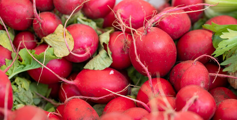 radishes on a market