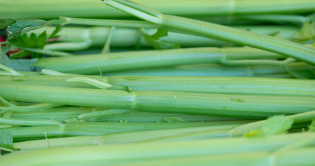 fresh celery stalks