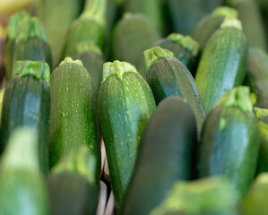 close up of zucchini