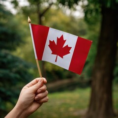 Hand holding a canadian flag outdoors with blurred background trees