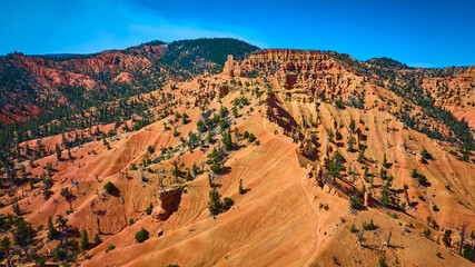 Aerial Red Canyon Golden Wall Trail Rugged Rock Formations and Pines