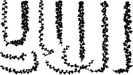 Set of dense ivy vine silhouette designs, hanging foliage elements, botanical black leaves vector art, natural climbing plant illustrations © Hanif World