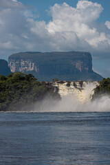 Tabletop mountain tepui in Canaima National Park, Venezuela at sunrise, with river and tree
