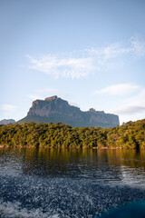 Tabletop mountain tepui in Canaima National Park, Venezuela at sunrise, with river and tree