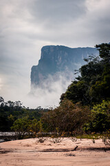 Tabletop mountain tepui in Canaima National Park, Venezuela at sunrise, with river and tree
