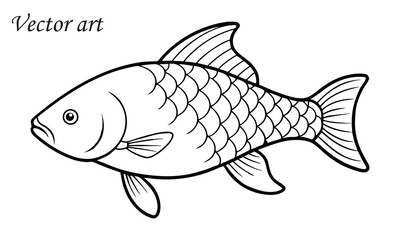 common carp fish line art vector illustration
