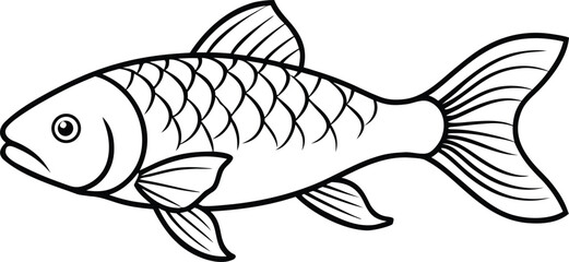 common carp fish line art vector illustration