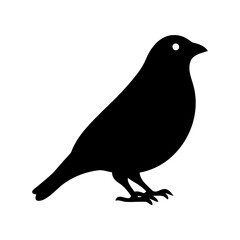 Silhouette of a small bird standing on the ground with white background