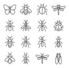 Insect linear icon set. featuring butterfly, bee, beetle, dragonfly, ant, ladybug, fly, cicada symbols
