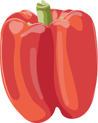 Vector illustration of sweet red pepper