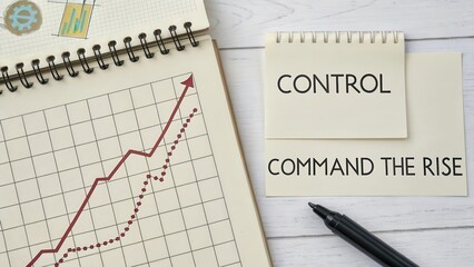 Control and Command the Rise of Business Growth with Graph Analysis