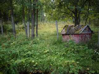 old abandoned doghouse behind a fence in the woods