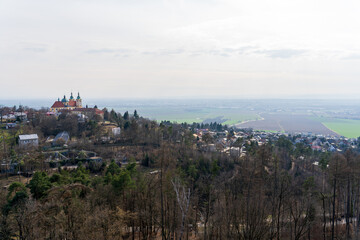 Obraz premium Olomouc, Czech Republic – March 23, 2025: Animals in the zoo. View of the city from the observation deck.