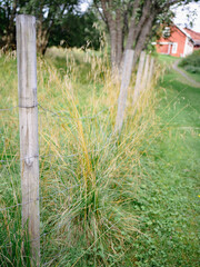 Wooden fence poles with metal net fence and grass