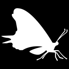 Butterfly icon.Butterfly Silhouettes Vector Illustration,showcases a collection of butterfly silhouette , butterflies are perfect for backgrounds, patterns, and designs. Line Art Vector.