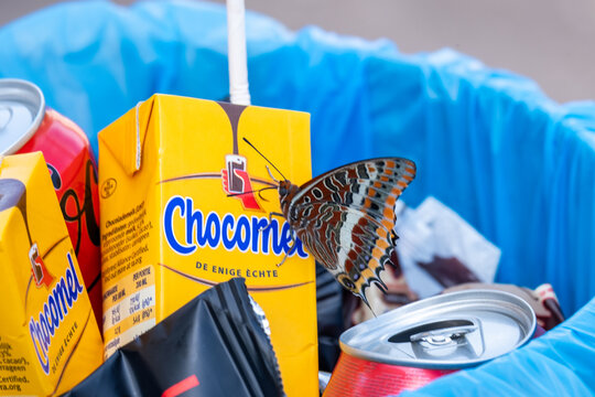Alicante, Spain -May 17, 2025: Chocomel, Coca-cola, colorful butterfly perched on discarded beverage cartons and cans in a recycling bin, highlighting the beauty of nature amidst urban waste