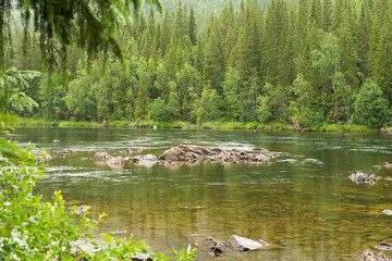Wild river in Norway with forest on riverbanks, and mountains in the background. In the foreground,...
