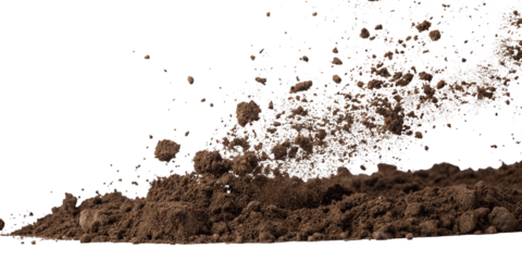 Dynamic explosion of soil particles formed against a stark black background for artistic effect