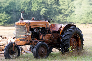 Obraz premium Rusty old work horse between jobs