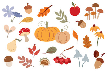 Set of plant elements, autumn forest gifts, harvest. Seasonal fruits. Hand-drawn doodle clipart