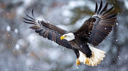 Fototapeta premium Illustration of a majestic bald eagle soars through a winter wonderland, its powerful wings spread wide against a backdrop of falling snow and blurred trees in the background