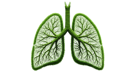 Green lungs made of grass and branches isolated on transparent background