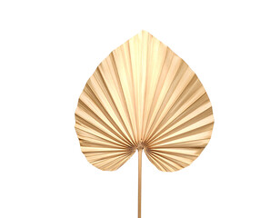 Dried Fan Palm Leaf with Natural Texture PNG