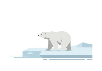 Polar Bear on Melting Ice Floe: Climate Change Symbol.