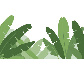 Lush Green Banana Leaves Tropical Border.