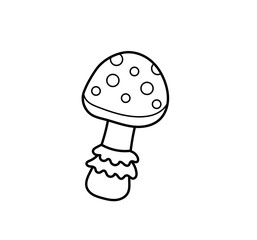 Fly agaric mushrooms. Toxic toadstools. Magic witchcraft coloring book element. Outline contour vector isolated illustration.