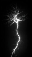 Monochrome Neuron Illustration - A Detailed Depiction of Neural Network.