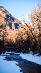 A wintry mountain stream