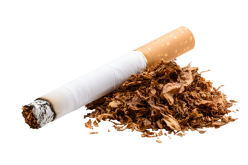 Cigarette and Loose Tobacco Smoking Addiction Health Hazard