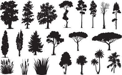 Fototapeta premium Tree Silhouette Vector Collection – Evergreen Pine, Oak, Fir, and Deciduous Forest Elements for Nature and Ecology Design