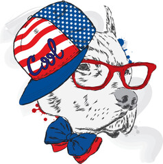 Dog vector. Hipster. Puppy wearing a cap and a tie. Vector illustration for greeting card, poster, or print on clothes.