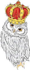 Beautiful owl with crown. Vector illustration for greeting card, poster, or print on clothes. Fashion & Style.
