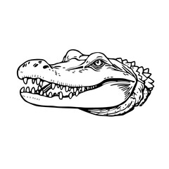 Alligator #279