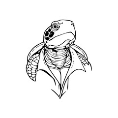 Turtle Safari #275
