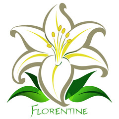 Florentine Lily flower vector illustration