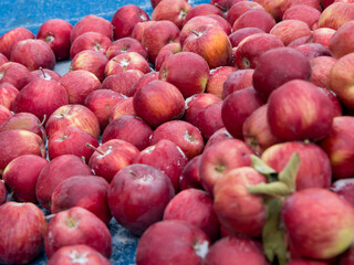 fresh red apples