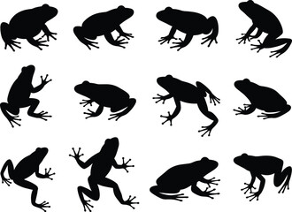 Collection of frog silhouette vector illustrations, diverse frog poses and amphibian animal shapes, black frog shadow design elements for wildlife, nature, biology themes