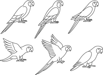 Outline illustration of parrots in different poses, exotic tropical birds vector, flying parrot design, perched parrot art, wildlife drawing, nature line artwork © MdShahin