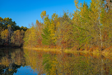 Reflections of the Changing Colors in Autumn